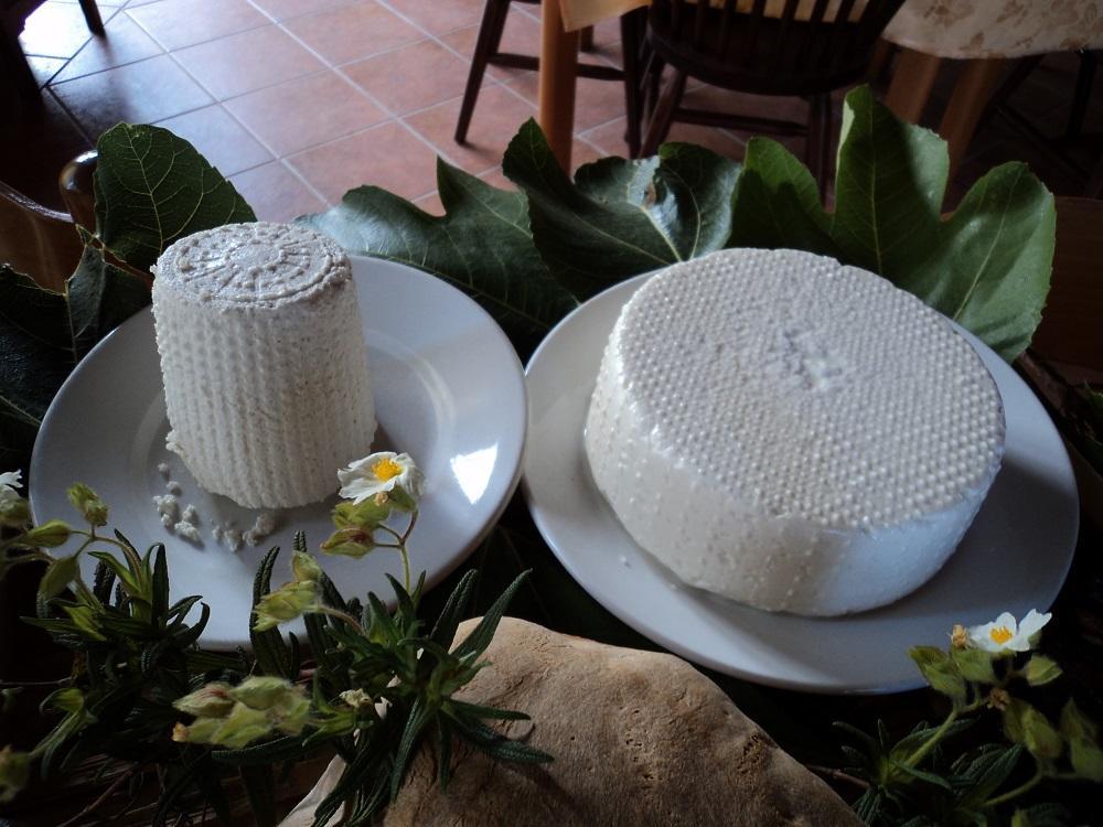 Agriturismo Aurella Ascea Kültér fotó