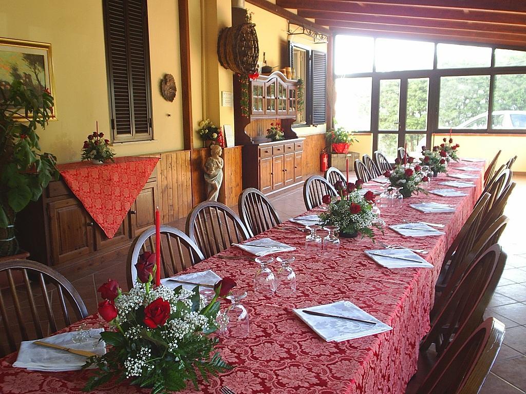 Agriturismo Aurella Ascea Kültér fotó